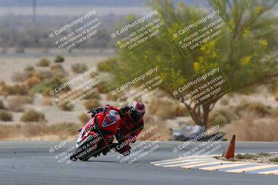 media/Apr-10-2022-SoCal Trackdays (Sun) [[f104b12566]]/Turn 5 Tree of Life (1040am)/